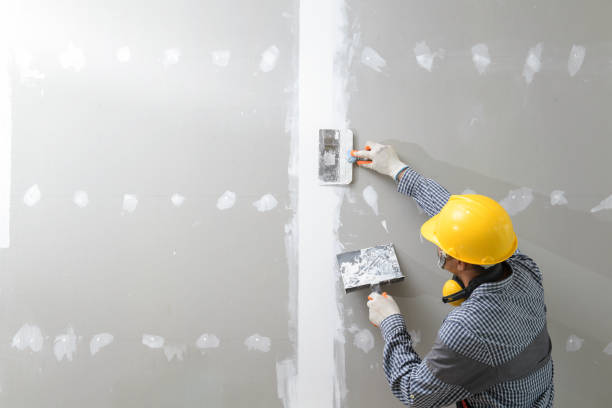 Best Drywall Crack Repair  in Carrier Mls, IL